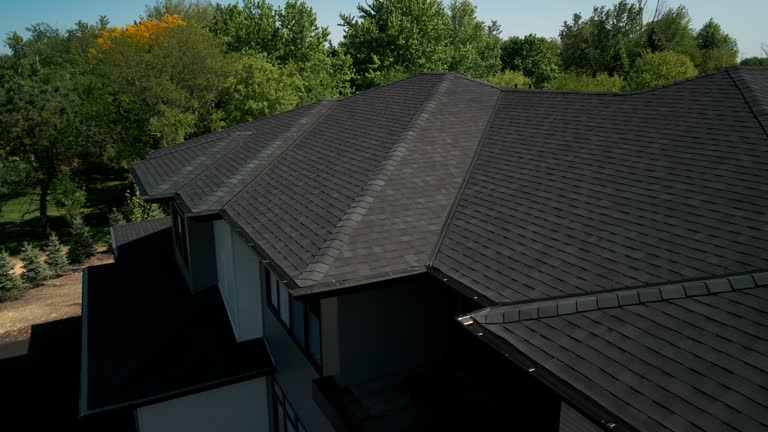 Best Roof Moss and Algae Removal  in Crump, TN